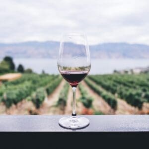Academie voor Gastronomie wijn
