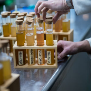 Specialisatie Alcoholvrij aan de Academie voor Gastronomie in samenwerking met Rody Misseyer
